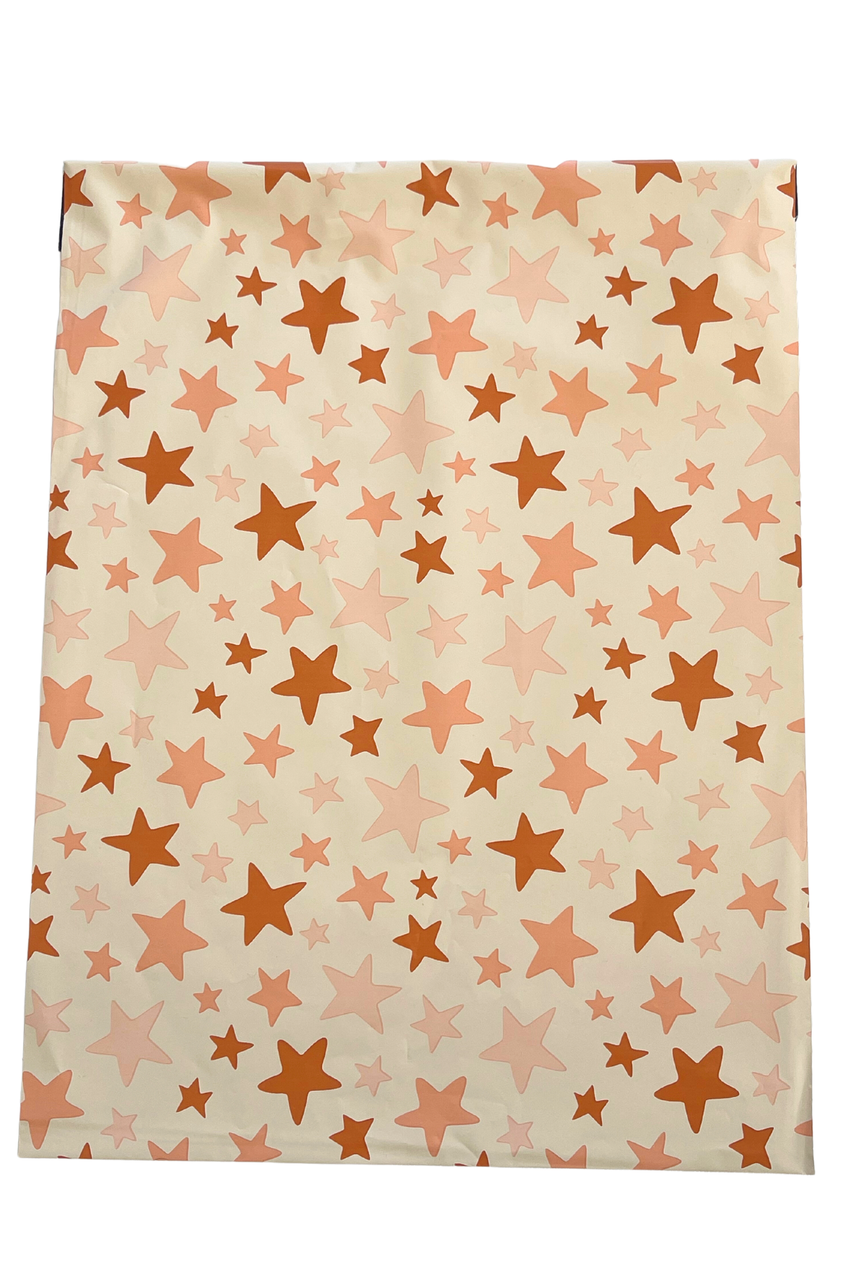 Stargaze Large Poly Mailer